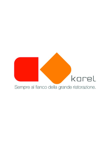 KAREL SRL